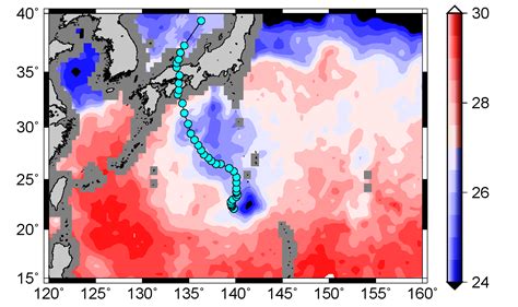 海景台風水|気象庁気象研究所 台風・災害気象研究部